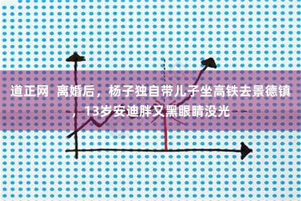 道正网  离婚后，杨子独自带儿子坐高铁去景德镇，13岁安迪胖又黑眼睛没光