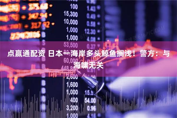 点赢通配资 日本一海岸多头鲸鱼搁浅！警方：与海啸无关