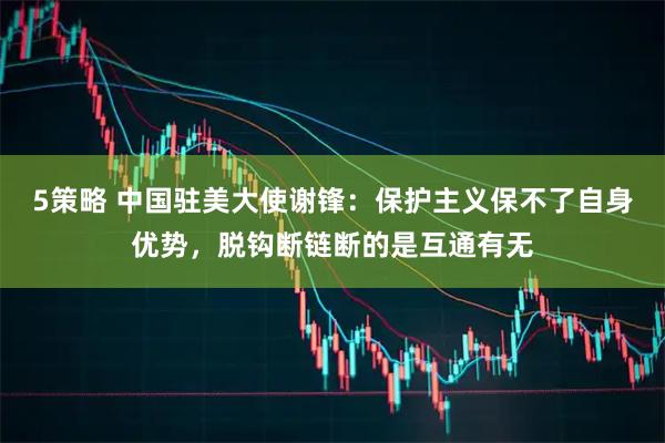 5策略 中国驻美大使谢锋：保护主义保不了自身优势，脱钩断链断的是互通有无