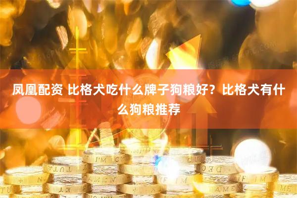 凤凰配资 比格犬吃什么牌子狗粮好？比格犬有什么狗粮推荐