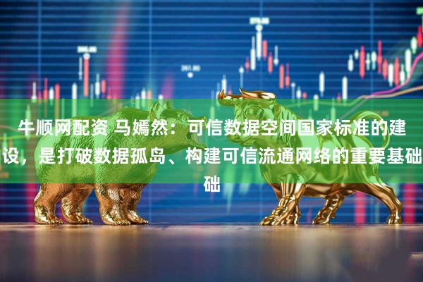 牛顺网配资 马嫣然:可信数据空间国家标准的建设,是打破数据孤岛、构建可信流通网络的重要基础