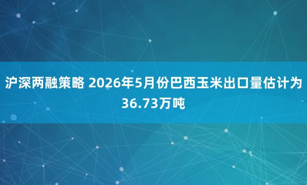 沪深两融策略 2026年5月份巴西玉米出口量估计为36.73万吨